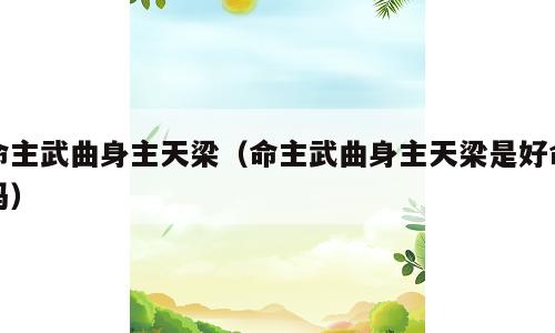 命主武曲身主天梁（命主武曲身主天梁是好命吗）