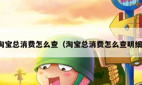 淘宝总消费怎么查（淘宝总消费怎么查明细）