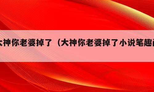 大神你老婆掉了（大神你老婆掉了小说笔趣阁）