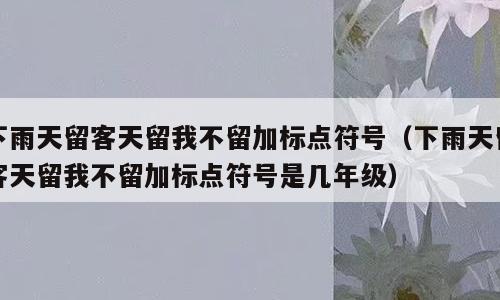 下雨天留客天留我不留加标点符号（下雨天留客天留我不留加标点符号是几年级）