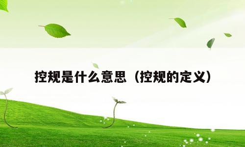 控规是什么意思（控规的定义）