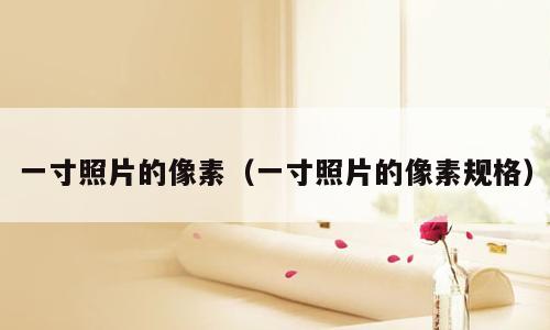 一寸照片的像素（一寸照片的像素规格）