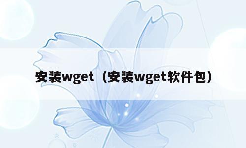 安装wget（安装wget软件包）