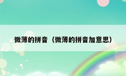 微薄的拼音（微薄的拼音加意思）