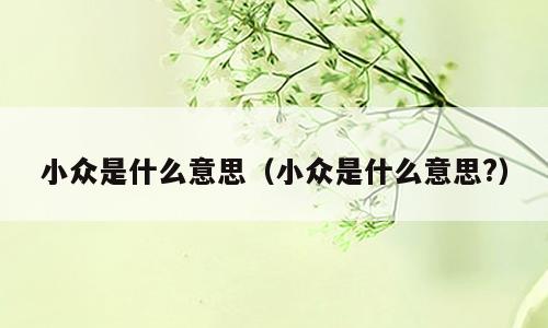 小众是什么意思（小众是什么意思?）