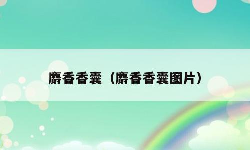 麝香香囊（麝香香囊图片）
