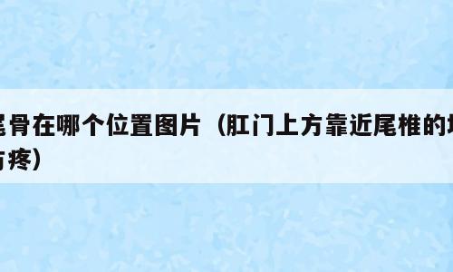 尾骨在哪个位置图片（肛门上方靠近尾椎的地方疼）