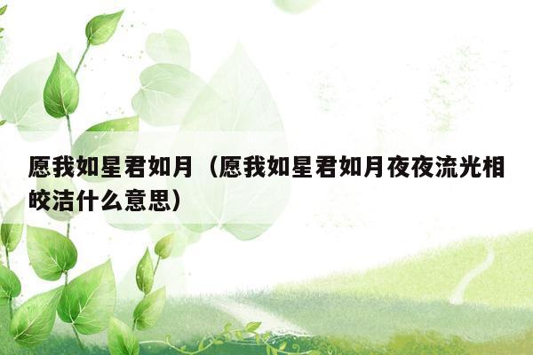 愿我如星君如月（愿我如星君如月夜夜流光相皎洁什么意思）