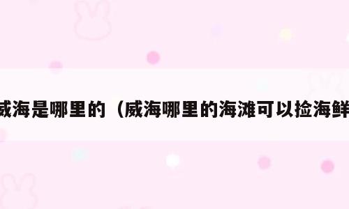 威海是哪里的（威海哪里的海滩可以捡海鲜）