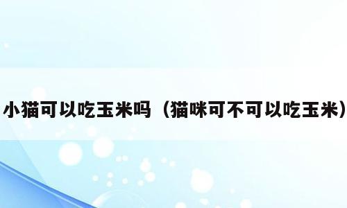 小猫可以吃玉米吗（猫咪可不可以吃玉米）