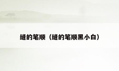 缝的笔顺（缝的笔顺黑小白）