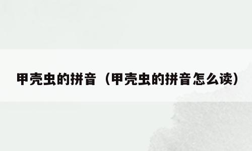 甲壳虫的拼音（甲壳虫的拼音怎么读）