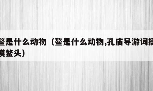 鳌是什么动物（鳌是什么动物,孔庙导游词摸摸鳌头）