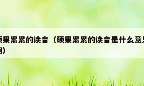 硕果累累的读音（硕果累累的读音是什么意思啊）