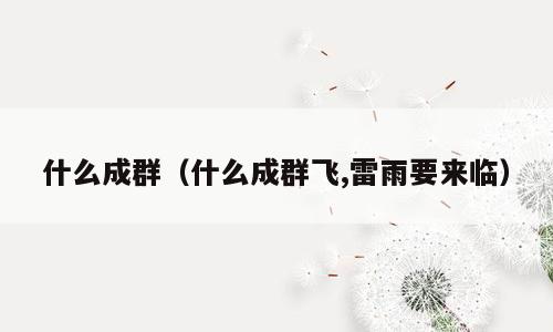 什么成群（什么成群飞,雷雨要来临）