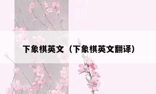 下象棋英文（下象棋英文翻译）