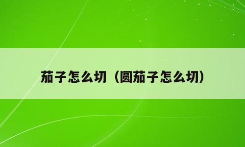 茄子怎么切（圆茄子怎么切）
