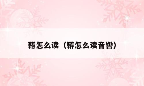 鞯怎么读（鞯怎么读音辔）