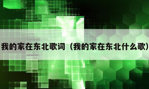 我的家在东北歌词（我的家在东北什么歌）