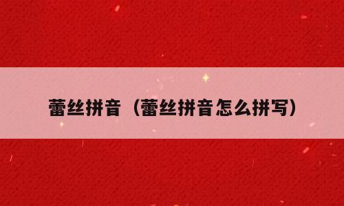蕾丝拼音（蕾丝拼音怎么拼写）
