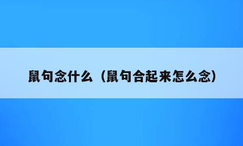 鼠句念什么（鼠句合起来怎么念）