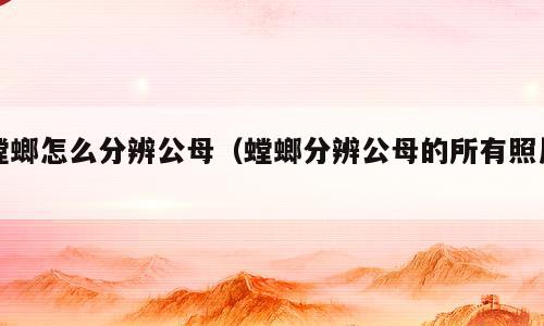 螳螂怎么分辨公母（螳螂分辨公母的所有照片）