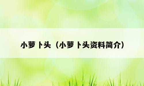 小萝卜头（小萝卜头资料简介）