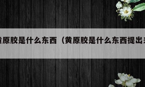 黄原胶是什么东西（黄原胶是什么东西提出来）