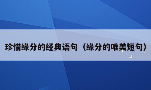珍惜缘分的经典语句（缘分的唯美短句）
