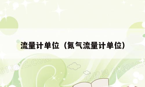 流量计单位（氮气流量计单位）
