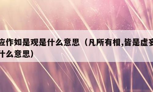 应作如是观是什么意思（凡所有相,皆是虚妄什么意思）