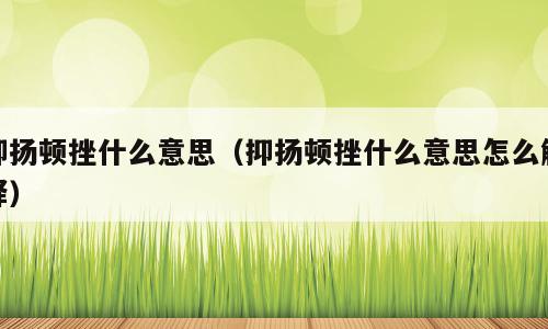 抑扬顿挫什么意思（抑扬顿挫什么意思怎么解释）