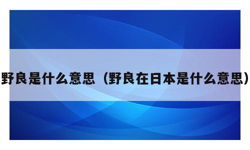 野良是什么意思（野良在日本是什么意思）