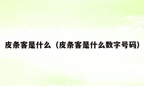 皮条客是什么（皮条客是什么数字号码）