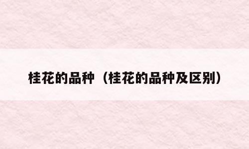 桂花的品种（桂花的品种及区别）