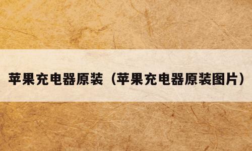 苹果充电器原装（苹果充电器原装图片）