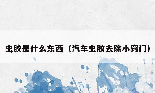 虫胶是什么东西（汽车虫胶去除小窍门）