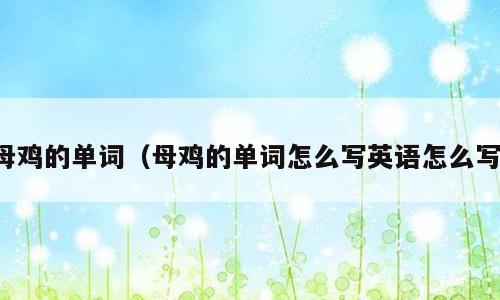 母鸡的单词（母鸡的单词怎么写英语怎么写）