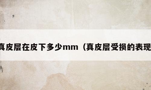 真皮层在皮下多少mm（真皮层受损的表现）