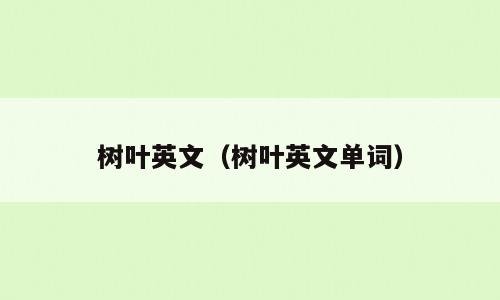 树叶英文（树叶英文单词）