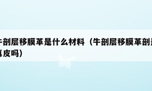 牛剖层移膜革是什么材料（牛剖层移膜革剖是真皮吗）