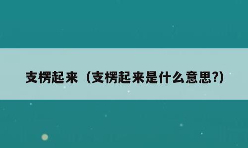 支楞起来（支楞起来是什么意思?）