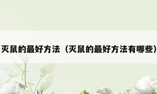 灭鼠的最好方法（灭鼠的最好方法有哪些）