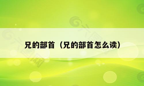 兄的部首（兄的部首怎么读）