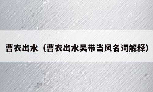 曹衣出水（曹衣出水吴带当风名词解释）
