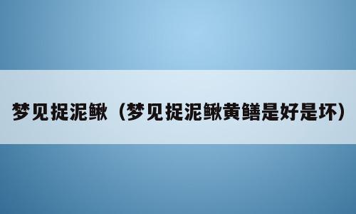 梦见捉泥鳅（梦见捉泥鳅黄鳝是好是坏）