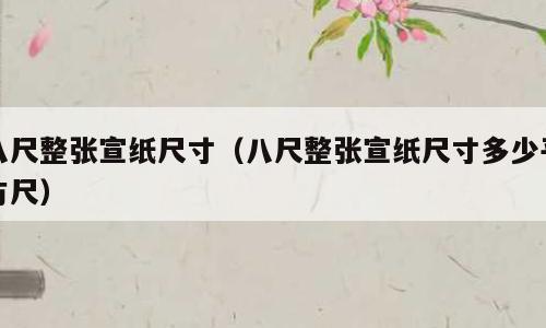 八尺整张宣纸尺寸（八尺整张宣纸尺寸多少平方尺）