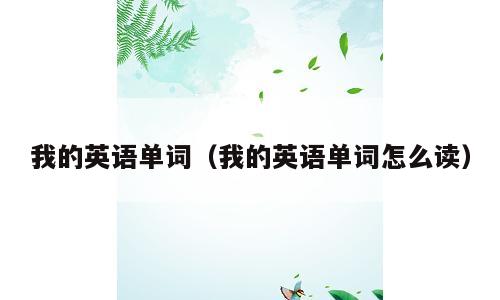 我的英语单词（我的英语单词怎么读）