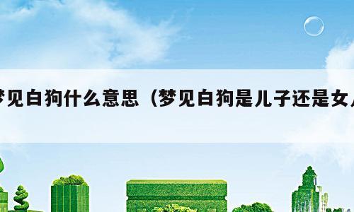 梦见白狗什么意思（梦见白狗是儿子还是女儿）