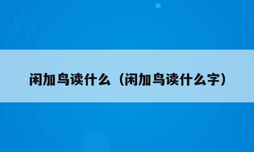 闲加鸟读什么（闲加鸟读什么字）